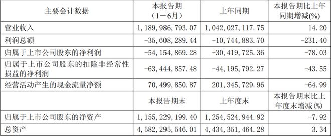 利亚德三安木林森等17家LED企业公布上半年业绩(图7)